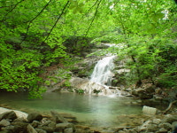 한국농어촌민박협회 가평지회