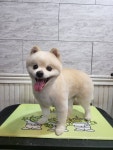 오구오구살롱