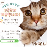 아토냥