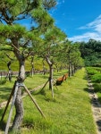 일산수목장