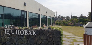 스테이 제주 호박