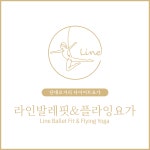 라인발레핏&플라잉요가