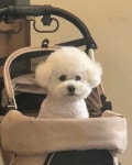 미들슬로우 커피하우스 궁동점