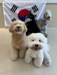 털로덮인친구들 커먼그라운드점
