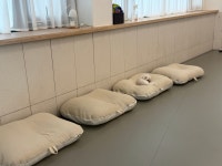 몽글몽글 반려견 유치원