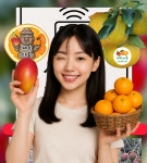 제주감귤농장 제주다움