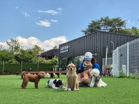 저스트도그 기업도시점