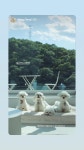포리하우스 애견펜션
