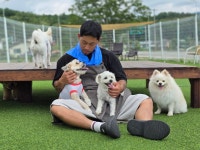 저스트도그 기업도시점