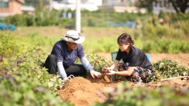 시골농부농원 오디농장 체험농장