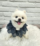 우리몽