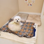 멍그니엘 애견호텔 서울강동점