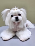 몽블링