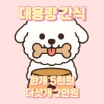 러블리 펫그루밍