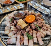 제주힐링돼지