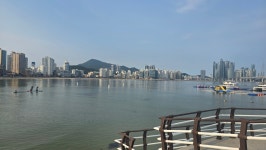 다복부동산공인중개사사무소