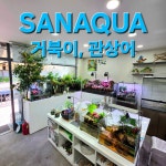 산아쿠아 서울수족관