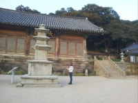 골든트리 타로사주