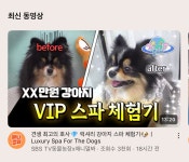 젤리펫살롱with아로마