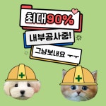 인천강아지분양 테디럽