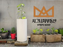 시그니처공인중개사사무소