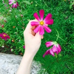 골든트리 타로사주