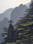 큰나무여행