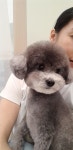 와와살롱