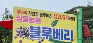 대운산삼봉농원