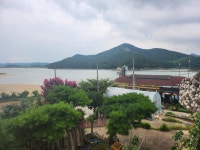 거북선숯불풍천장어