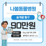 나봄동물병원