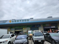 도내돈