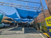 천안세차장백세