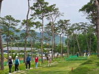 청솔캠핑장