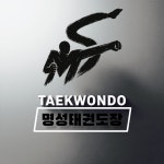 KTIGERS 명성태권도