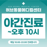 허브동물메디컬센터