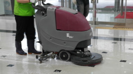 푸른환경코리아