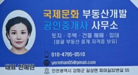 국제문화공인중개사사무소