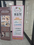 뽀송펫