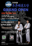 국가대표무혼태권도