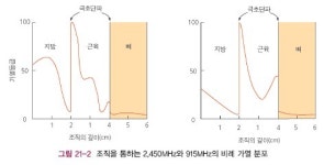 메디칼케어 본점