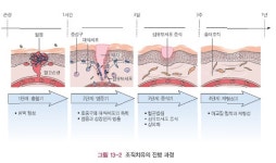 메디칼케어 본점