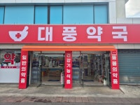 대풍약국