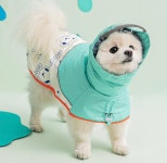 하트는멍멍