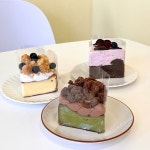 베이크마이데이