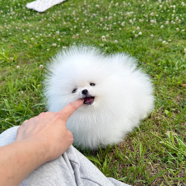 광고 이미지