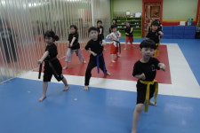 TOP용인대박사태권도장