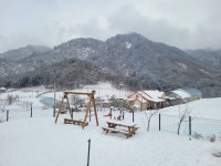 비나펜션