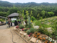 구미오가리민박