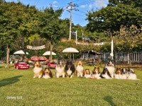 어곡128